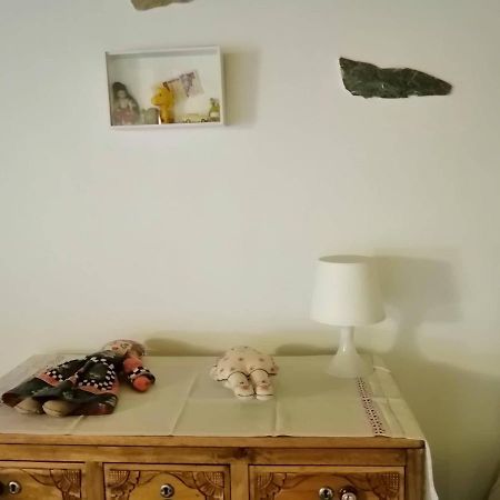 Bed and Breakfast Casa Do Alto - Benfeita Екстер'єр фото