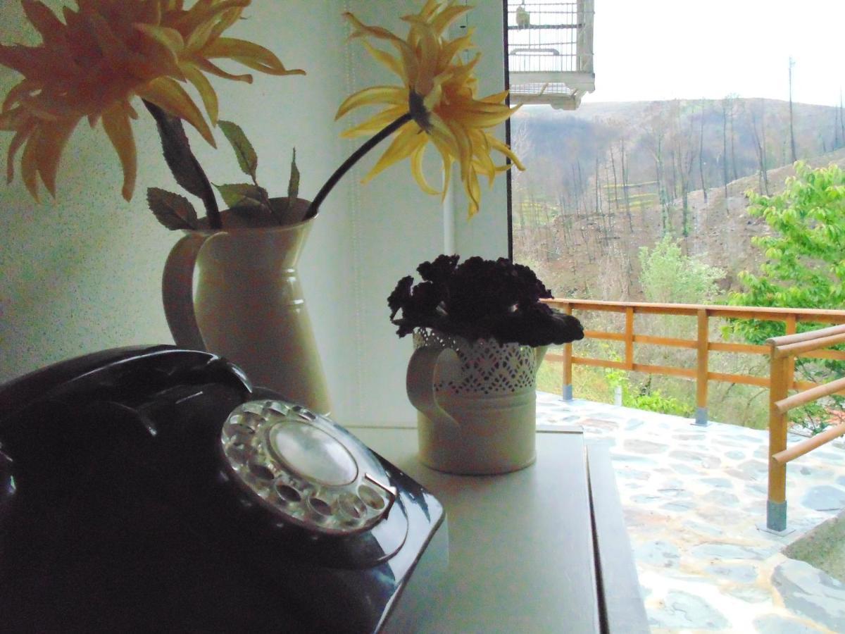 Bed and Breakfast Casa Do Alto - Benfeita Екстер'єр фото