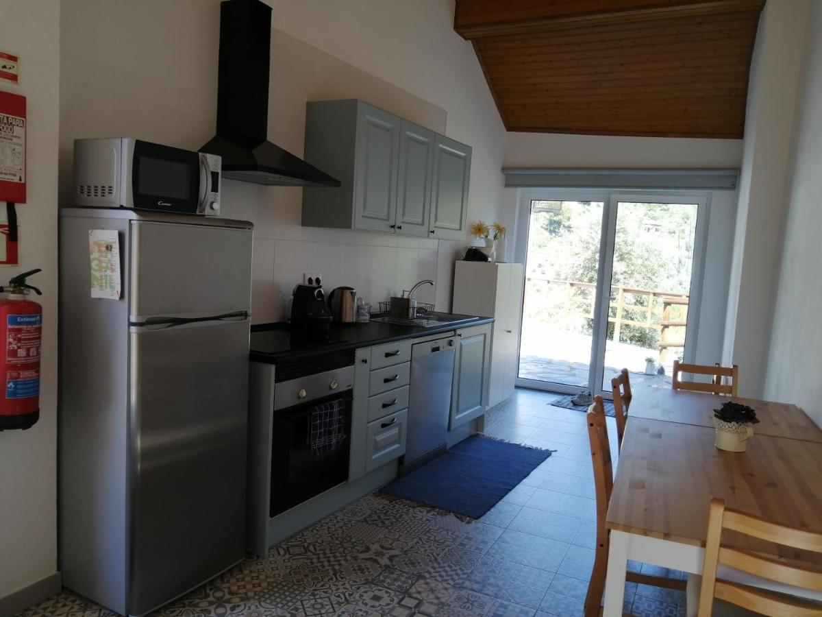 Bed and Breakfast Casa Do Alto - Benfeita Екстер'єр фото