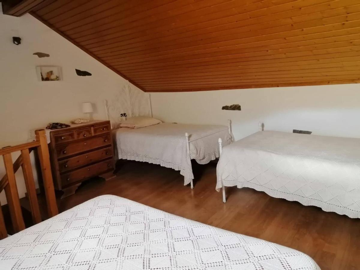 Bed and Breakfast Casa Do Alto - Benfeita Екстер'єр фото